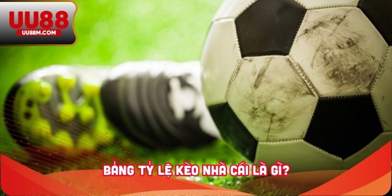 Cách Đọc Bảng Tỷ Lệ Kèo Nhà Cái Chuẩn Xác Dành Cho Người Mới 1 Bảng tỷ lệ kèo nhà cái là gì?