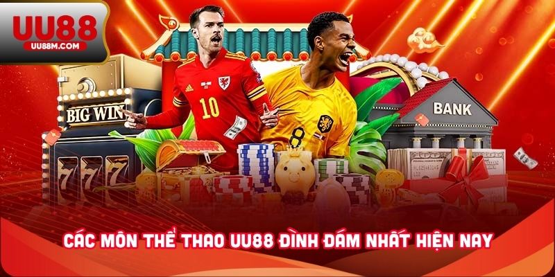 Thể thao UU88 4 Các môn thể thao UU88 đình đám nhất hiện nay