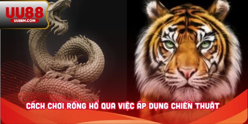 Cách Chơi Rồng Hổ - Hướng Dẫn Chuẩn, Chi Tiết Cho Newbie 2 Cách chơi Rồng Hổ qua việc áp dụng chiến thuật