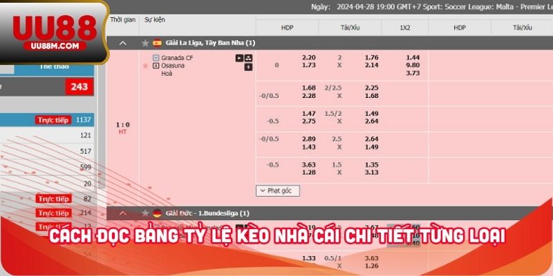 Cách Đọc Bảng Tỷ Lệ Kèo Nhà Cái Chuẩn Xác Dành Cho Người Mới 3 Cách đọc bảng tỷ lệ kèo nhà cái chi tiết từng loại