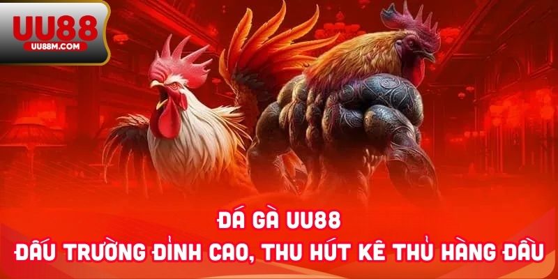 Đá Gà UU88 1 Đá Gà UU88 - Đấu Trường Đỉnh Cao, Thu Hút Kê Thủ Hàng Đầu