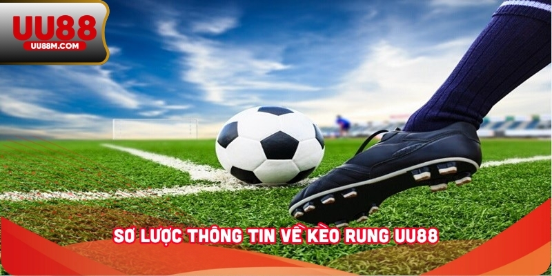 Kèo Rung UU88 - Hình Thức Cá Độ Hấp Dẫn Khi Chơi Thể Thao 1 Sơ lược thông tin về kèo rung UU88