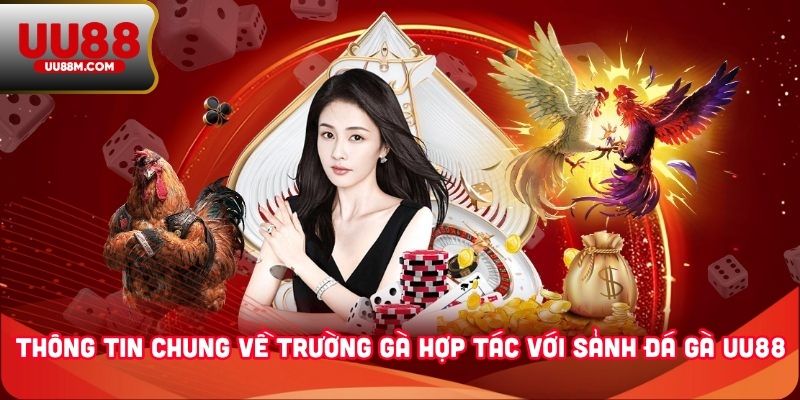 Đá Gà UU88 4 Thông tin chung về trường gà hợp tác với sảnh đá gà UU88