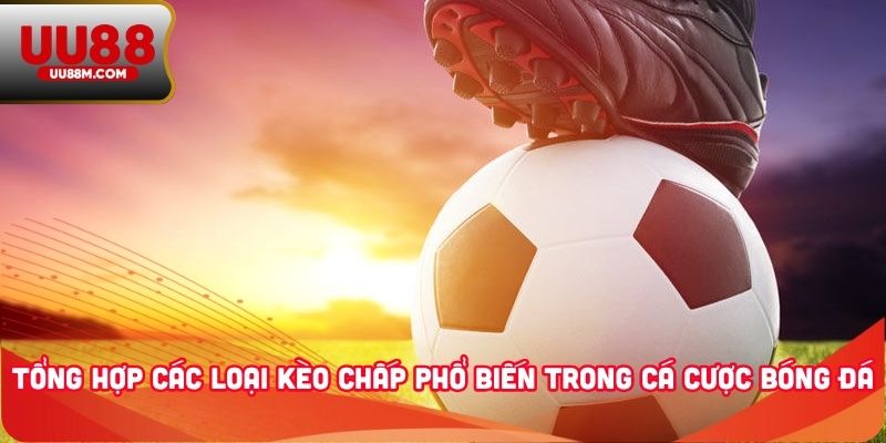 Kèo Chấp - Cách Đọc Kèo Và Bí Kíp Chơi Thắng Lớn Từ Cao Thủ 2 Tổng hợp các loại kèo chấp phổ biến trong cá cược bóng đá