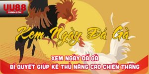Xem Ngày Đá Gà - Bí Quyết Giúp Kê Thủ Nâng Cao Chiến Thắng 9 Xem Ngày Đá Gà - Bí Quyết Giúp Kê Thủ Nâng Cao Chiến Thắng